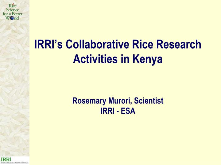 irri s collaborative rice research activities in kenya rosemary murori scientist irri esa