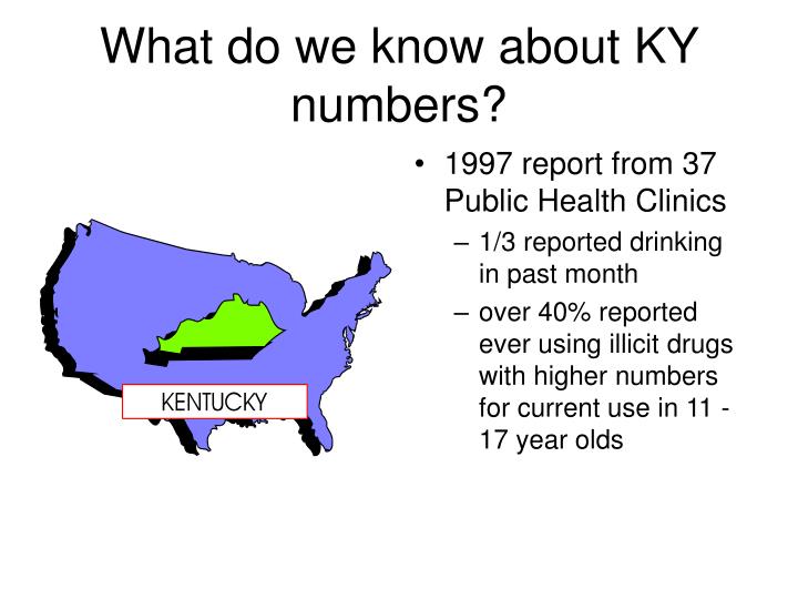 what do we know about ky numbers