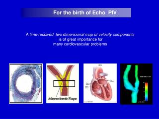 For the birth of Echo PIV