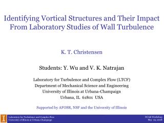 Identifying Vortical Structures and Their Impact From Laboratory Studies of Wall Turbulence