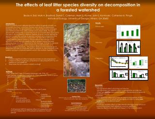 The effects of leaf litter species diversity on decomposition in a forested watershed