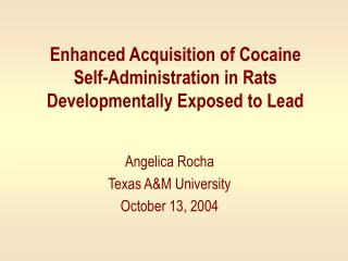 Enhanced Acquisition of Cocaine Self-Administration in Rats Developmentally Exposed to Lead