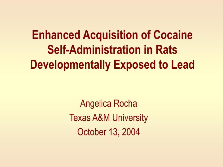 enhanced acquisition of cocaine self administration in rats developmentally exposed to lead