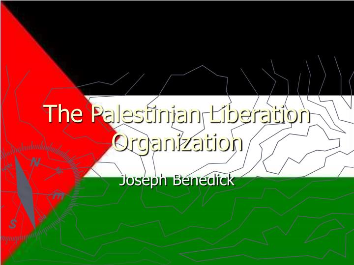 the palestinian liberation organization