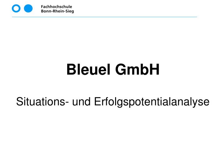 bleuel gmbh situations und erfolgspotentialanalyse