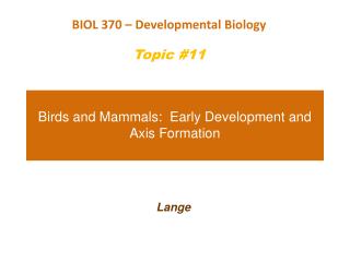 Birds and Mammals: Early Development and Axis Formation