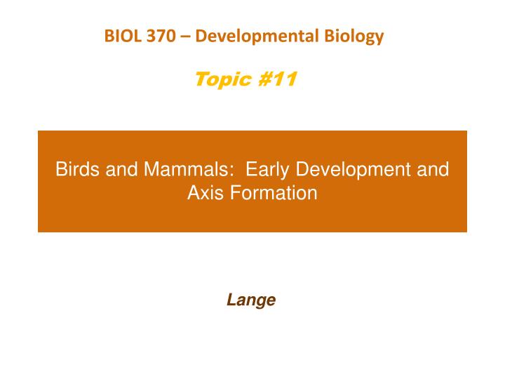 birds and mammals early development and axis formation