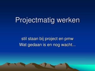 projectmatig werken