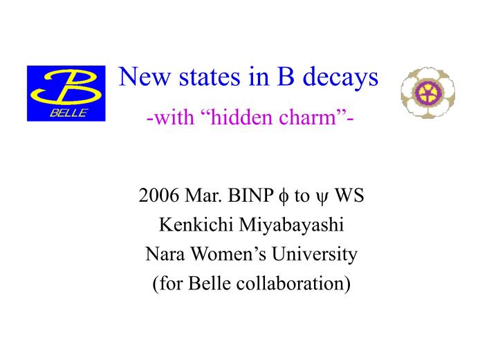 new states in b decays