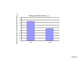 Expressions relative to 1529 ?spy 1236 (pLZ-htrA forward )