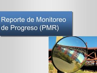 reporte de monitoreo de progreso pmr
