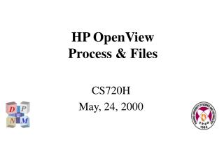 HP OpenView Process &amp; Files