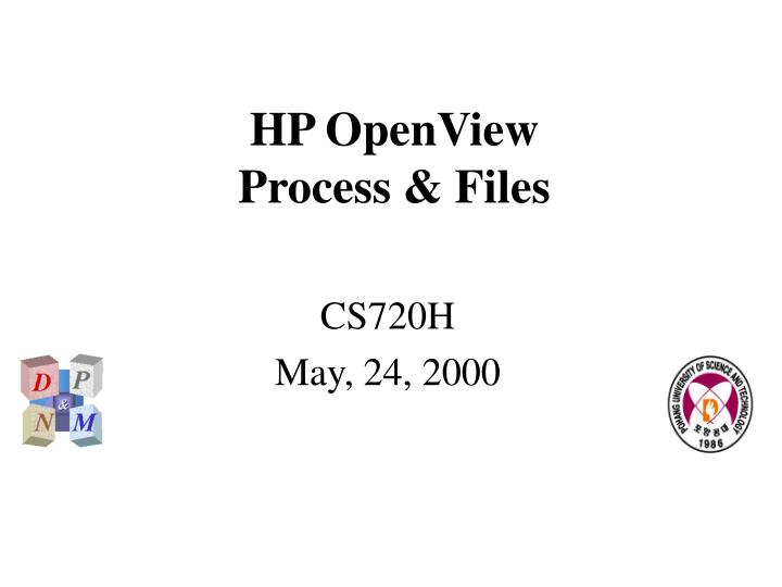 hp openview process files