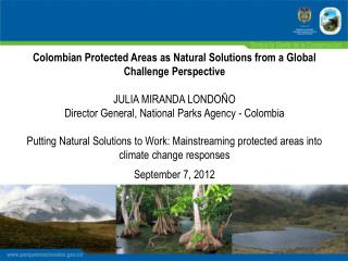 Colombian Protected Areas as Natural Solutions from a Global Challenge Perspective