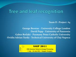 Tree and leaf recognition