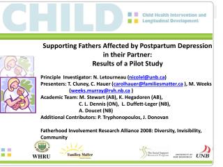 Supporting Fathers Affected by Postpartum Depression in their Partner: Results of a Pilot Study