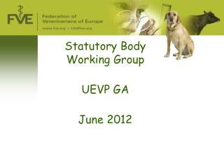 Statutory Body Working Group UEVP GA June 2012