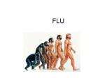 FLU - slide 1