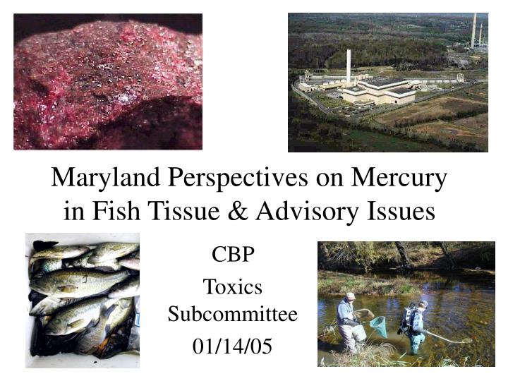 maryland perspectives on mercury in fish tissue advisory issues