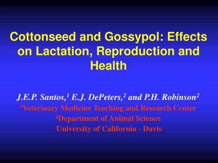 cottonseed and gossypol effects on lactation reproduction and health