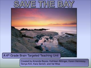 SAVE THE BAY