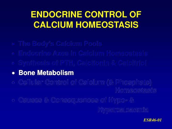 endocrine control of calcium homeostasis