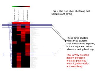 This is also true when clustering both Samples and terms