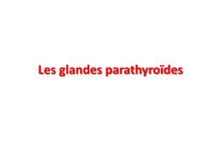 les glandes parathyro des