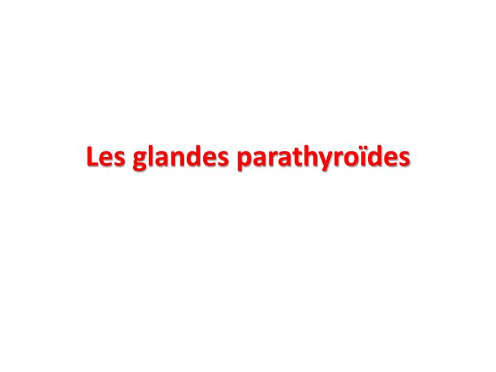 les glandes parathyro des