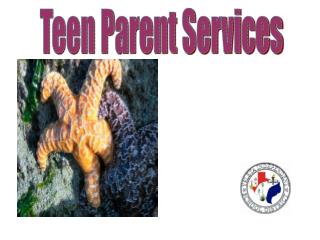 Teen Parent Services