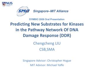Predicting New Substrates for Kinases in the Pathway Network Of DNA Damage Response (DDR)