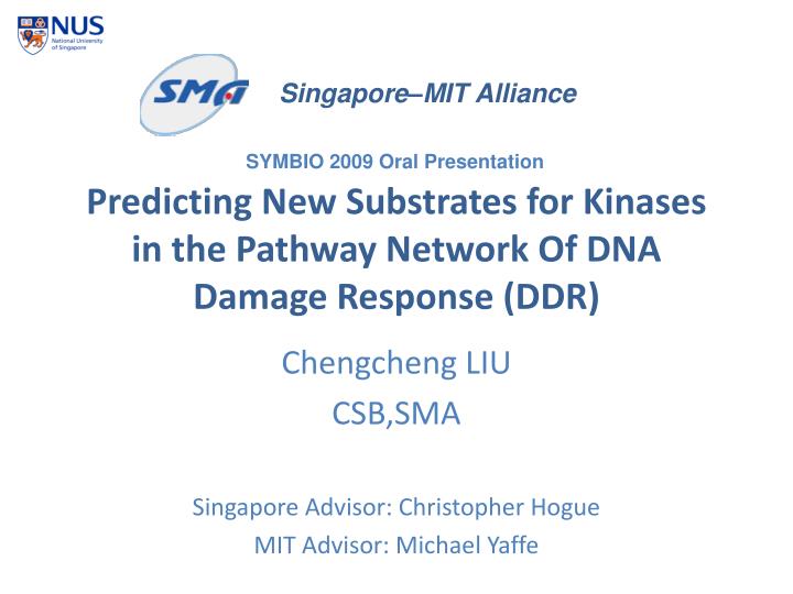 predicting new substrates for kinases in the pathway network of dna damage response ddr