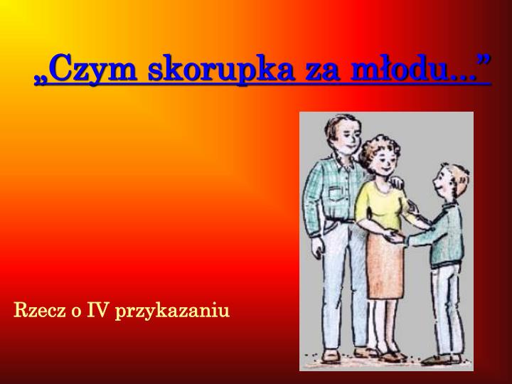 czym skorupka za m odu