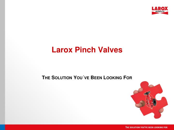 larox pinch valves