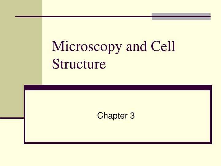 microscopy and cell structure