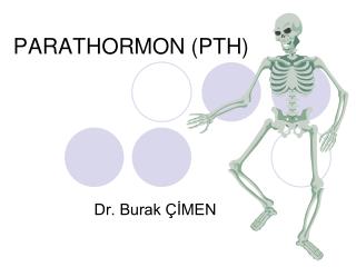 parathormon pth