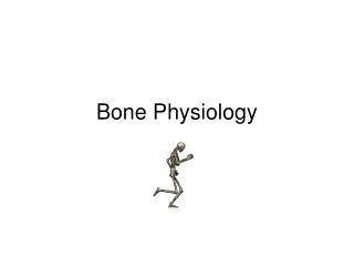 Bone Physiology