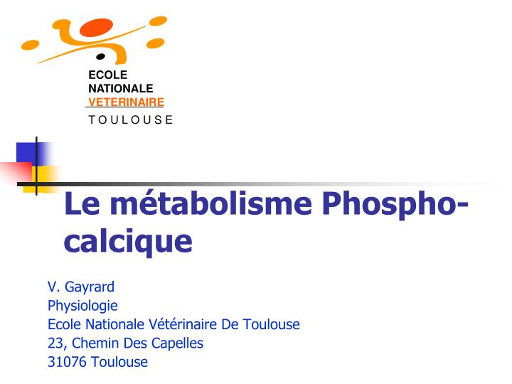 le m tabolisme phospho calcique