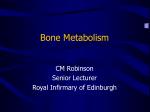 Bone Metabolism - slide 1