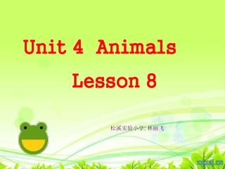 Unit 4 Animals Lesson 8