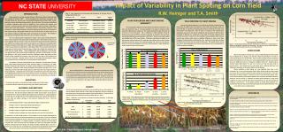 Impact of Variability in Plant Spacing on Corn Yield R.W. Heiniger and T.A. Smith