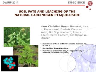 Soil Fate and leaching of the natural carcinogen ptaquiloside