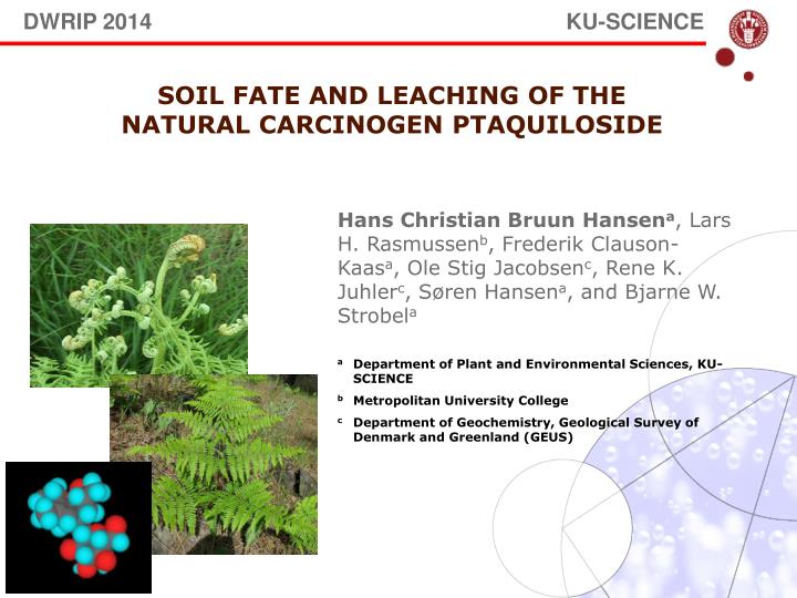 soil fate and leaching of the natural carcinogen ptaquiloside