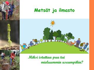 mets t ja ilmasto