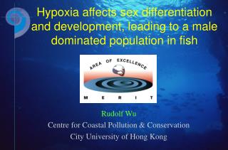 Rudolf Wu Centre for Coastal Pollution &amp; Conservation City University of Hong Kong