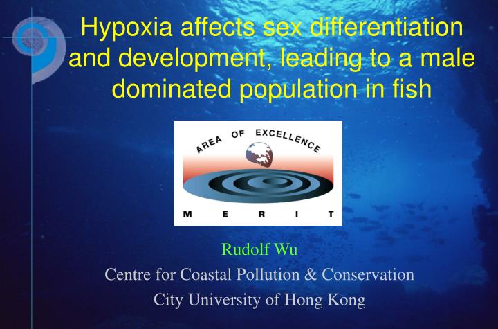 hypoxia affects sex differentiation and development leading to a male dominated population in fish