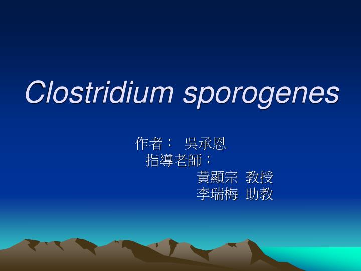 clostridium sporogenes