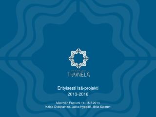 erityisesti is projekti 2013 2016