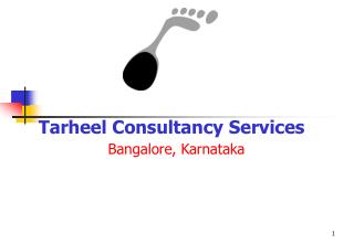 Tarheel Consultancy Services