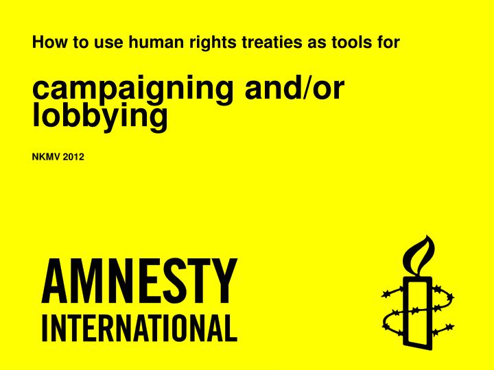 how to use human rights treaties as tools for campaigning and or lobbying nkmv 2012